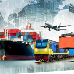 Export & Import